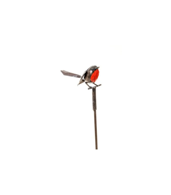 Pic 1 oiseau gris/rouge