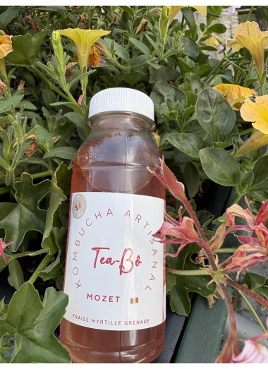 Kombucha fraise-grenade-myrtille