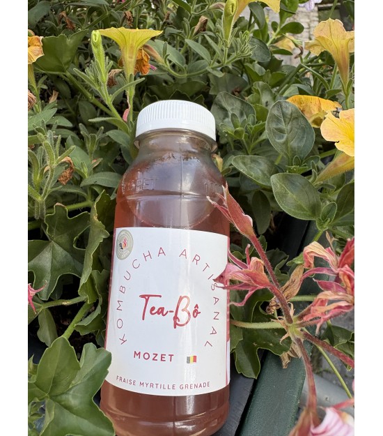Kombucha fraise-grenade-myrtille