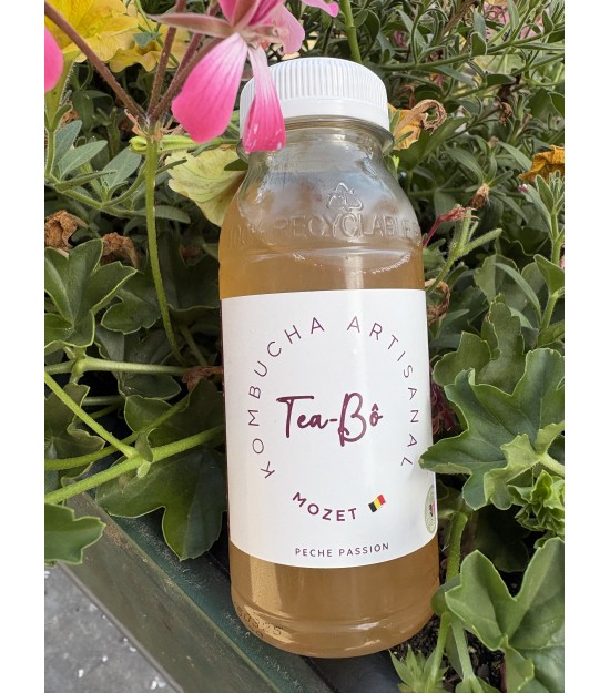 Kombucha pêche-passion
