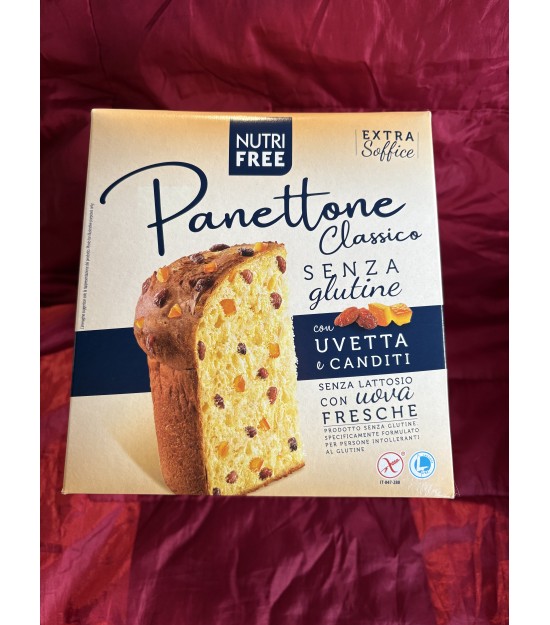 PANETTONE MET ROZIJN